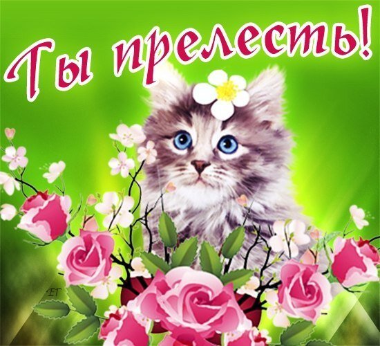 Помни всегда : ТЫ Прелесть У САМОЙ СЕБЯ !!!