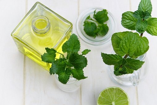 https://cdn.pixabay.com/photo/2018/01/08/19/56/leaf-3070153__340.jpg