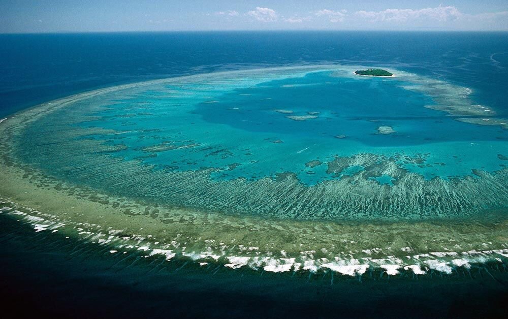 Источник: Яндекс. Картинки 