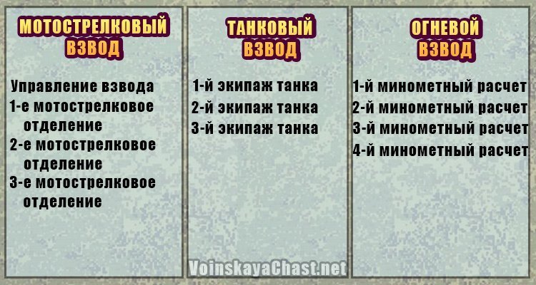 Хотите разобраться в структуре армии РФ? - узнайте, сколько человек во взводе, роте, полку, батальоне, бригаде и дивизии и в чём особенность этих подразделений.-2
