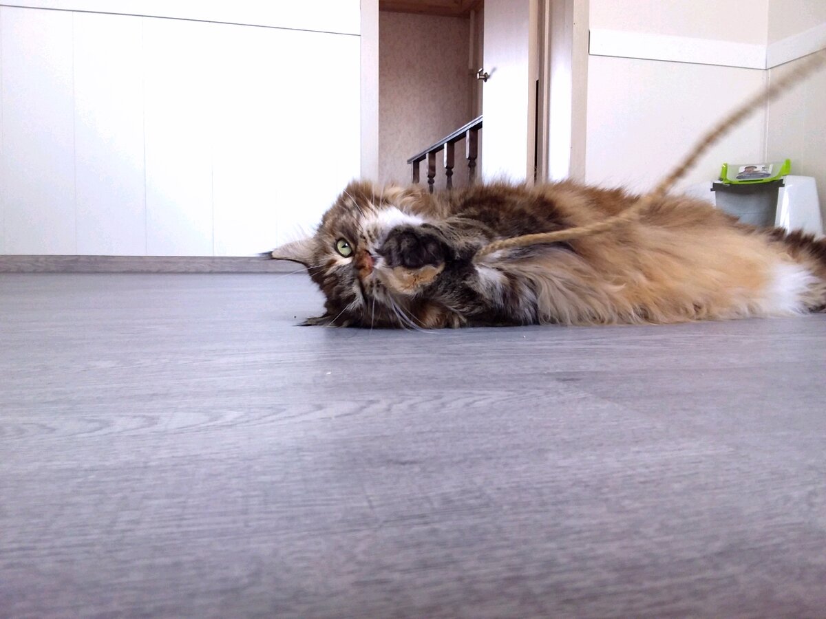 На фото красавица Джуля, 7 лет