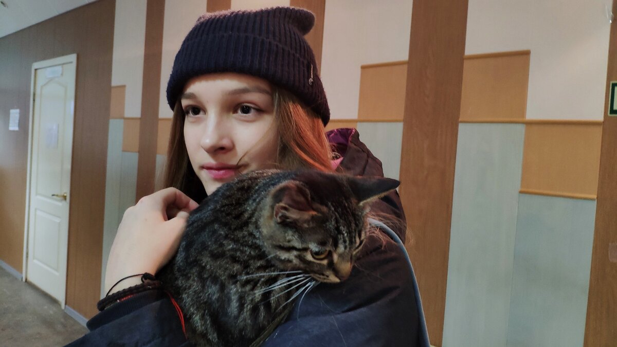 Ласковая мурлыка уехала домой