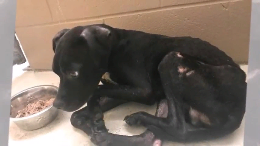 Подпишись на наш ютуб канал, ссылка в конце статьи