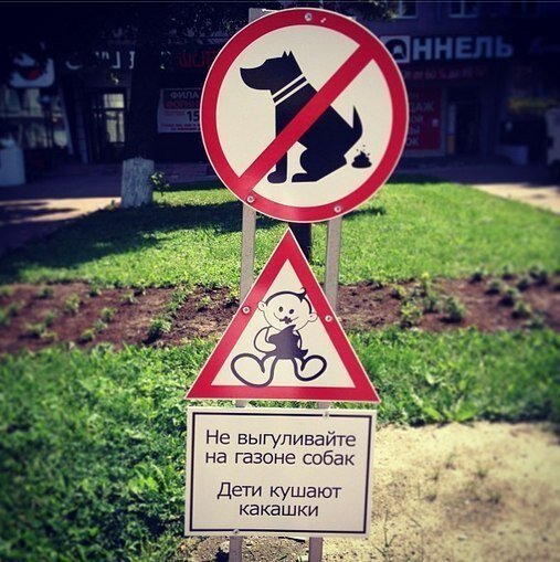 Дети прекрасны!