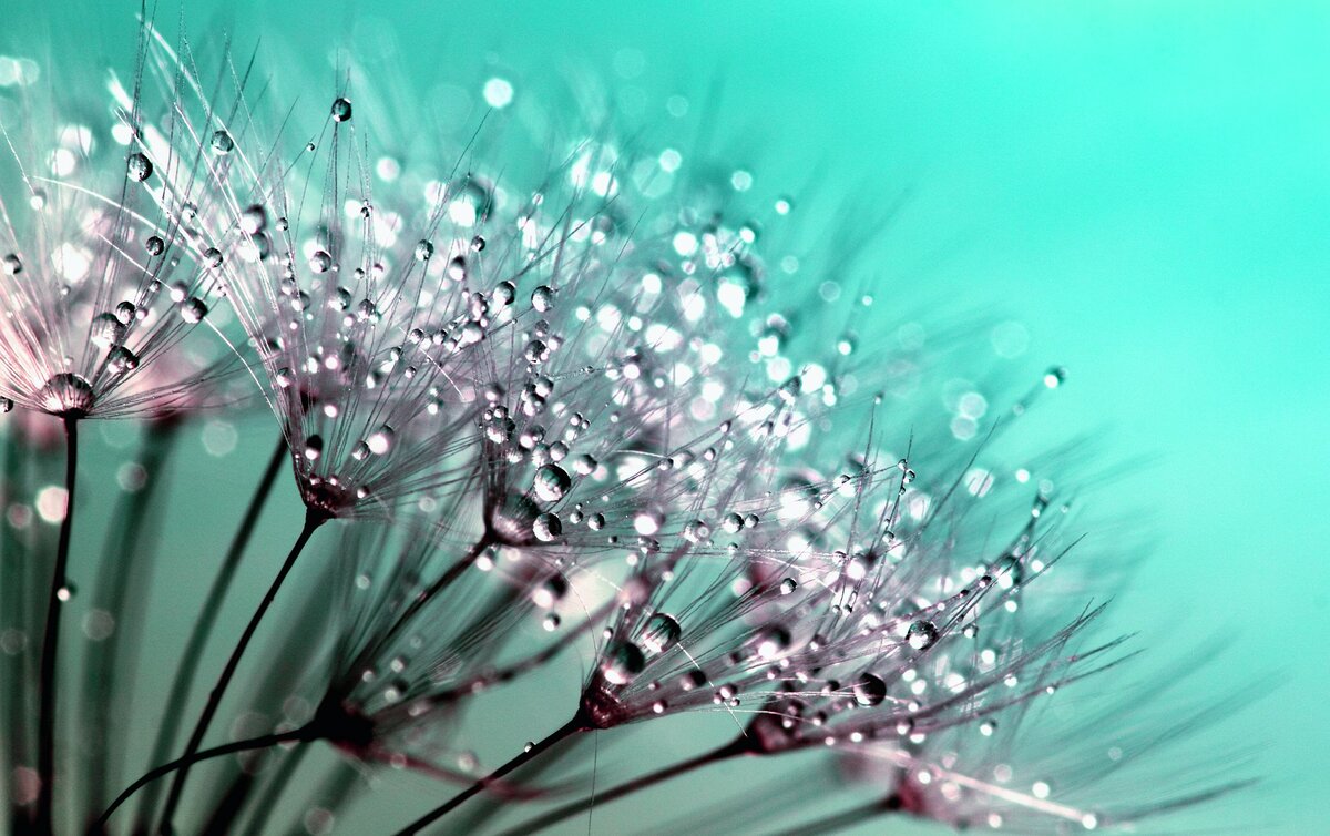 photo: pixaby, author: inspiredImages