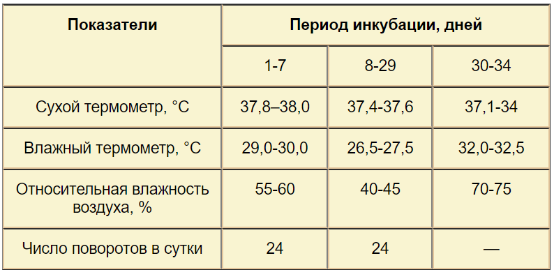 Полезные советы