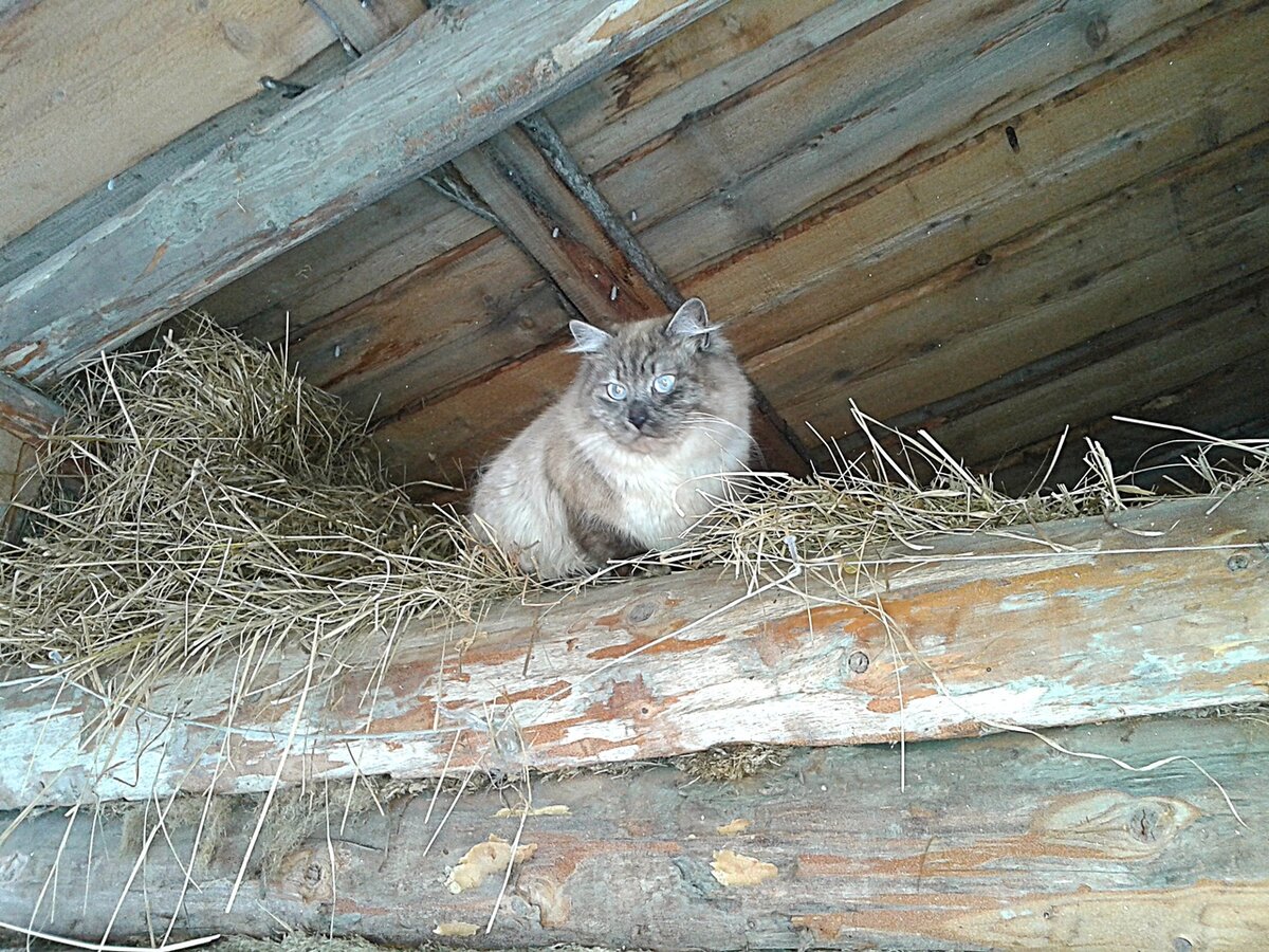 В ГАЛЕРЕЕ 7 ФОТО, ЛИСТАЕМ!