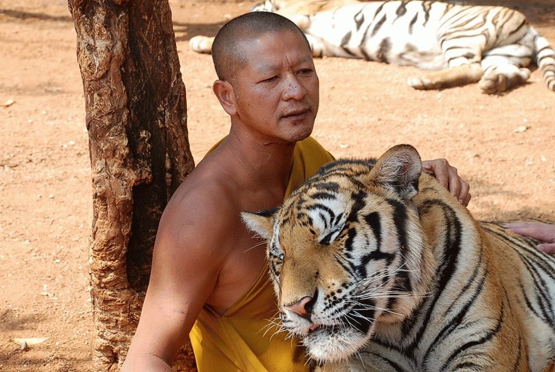 Кушай, деточка, на здоровье!
