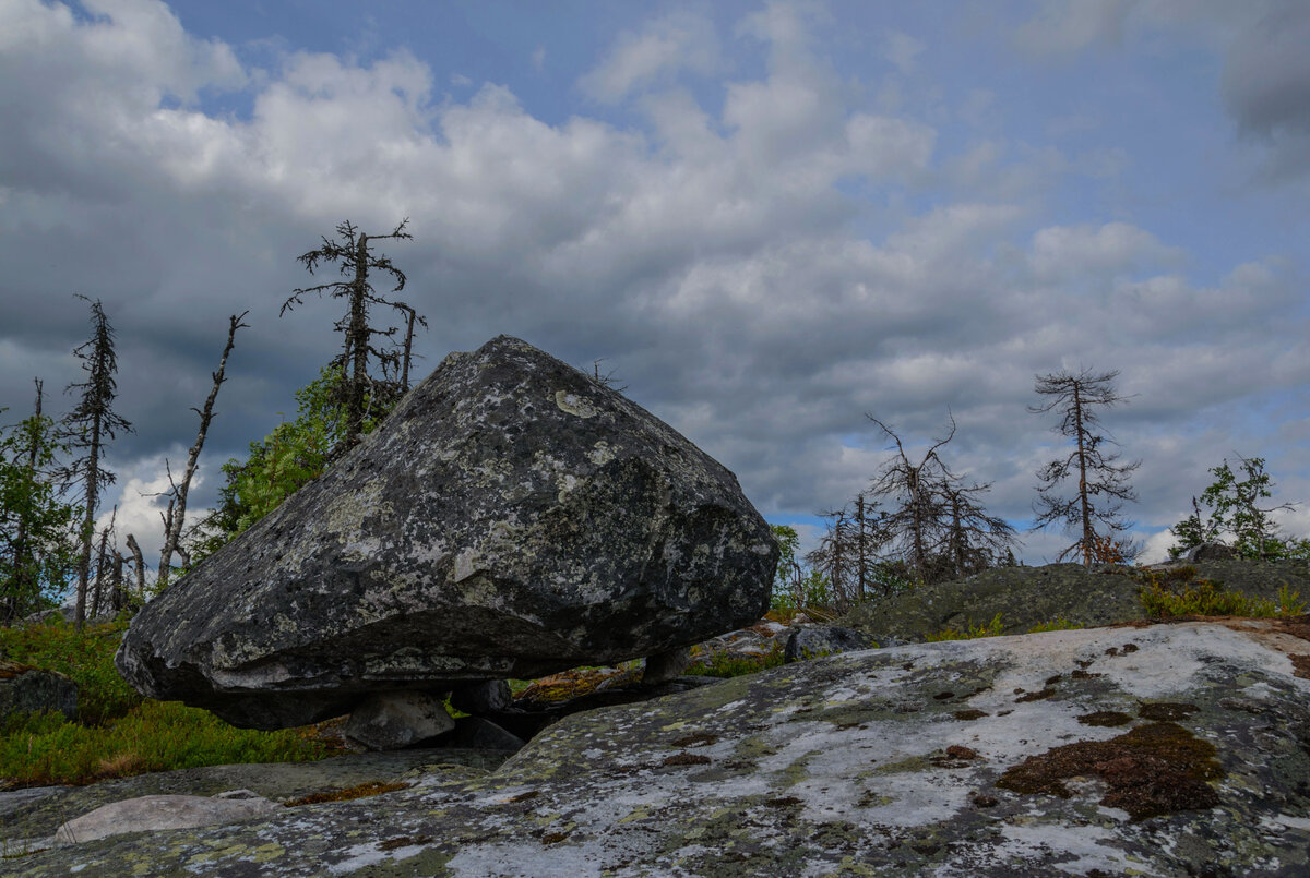 Фото взято из сервиса Яндекс.Картинки