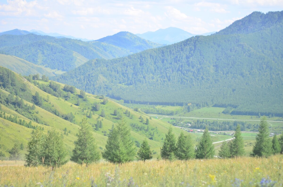 Село Сентелек Алтайский край