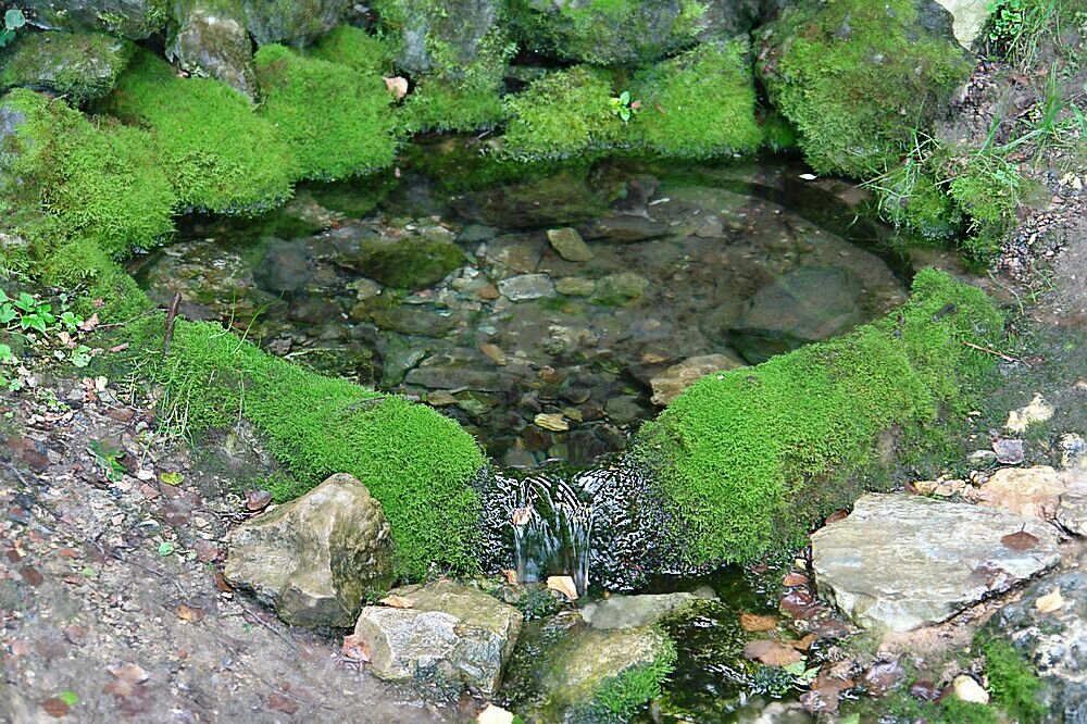 Изображение взято из открытых источников.