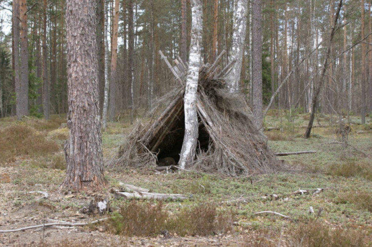Оригинальный уютный домик на дереве – уединение и гармония с природой в лесной глуши