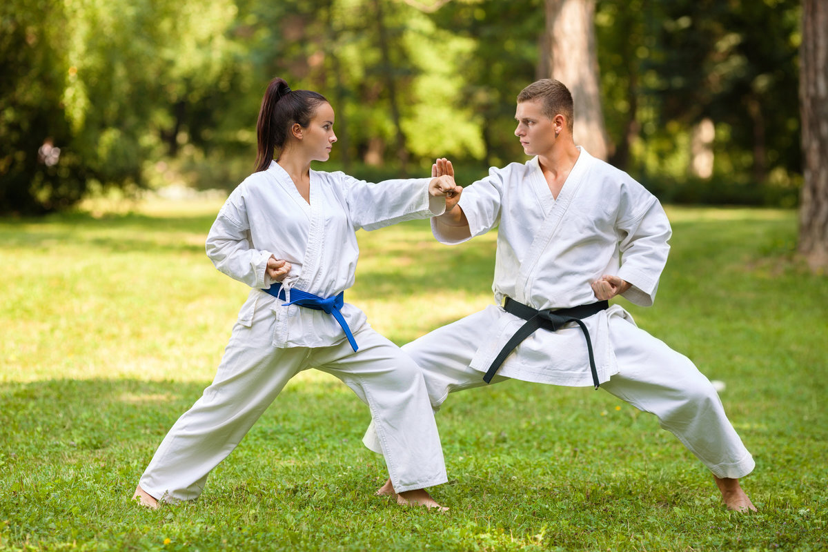Best Sport каратэ