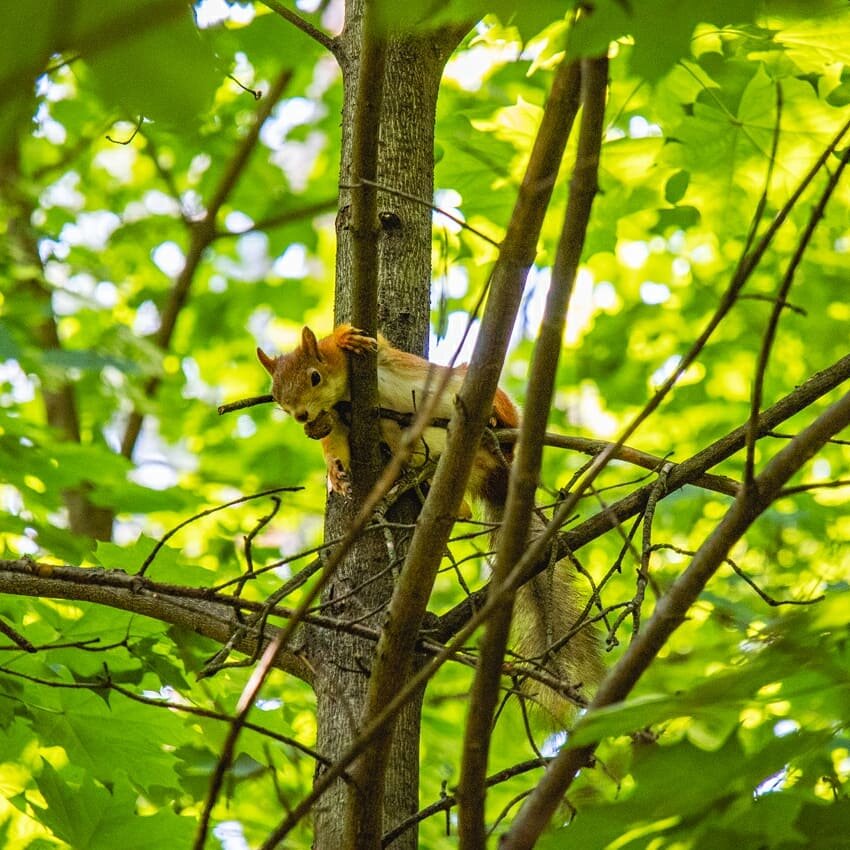 Очень удобная поза