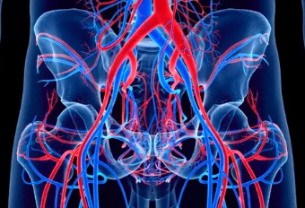 Загружено с Svadba1000.ru