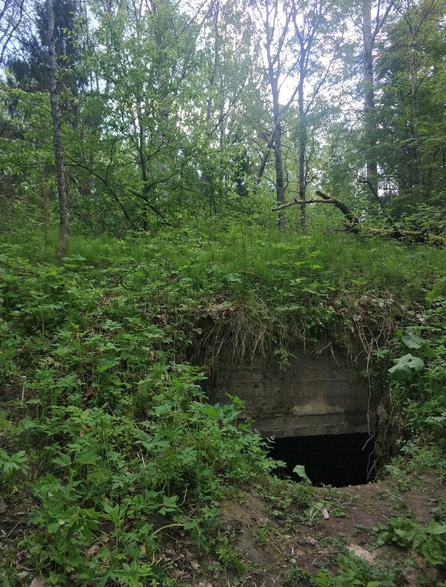 Бункеры в Нижнем Тагиле