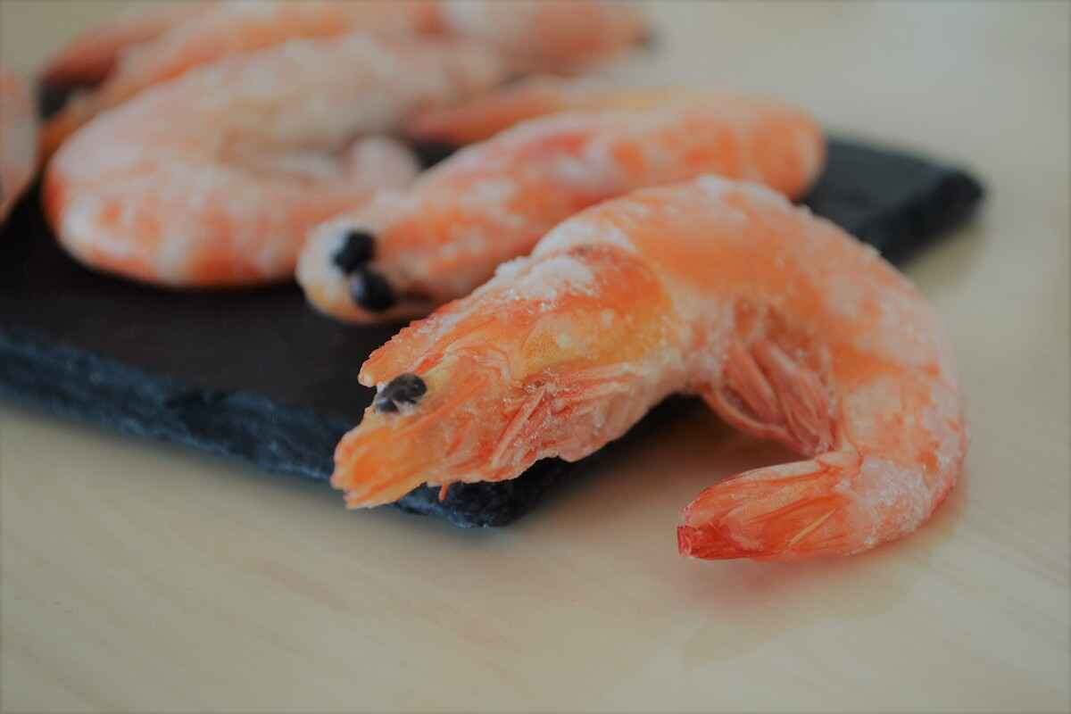 Фотография взята с сайта nova-delo.com