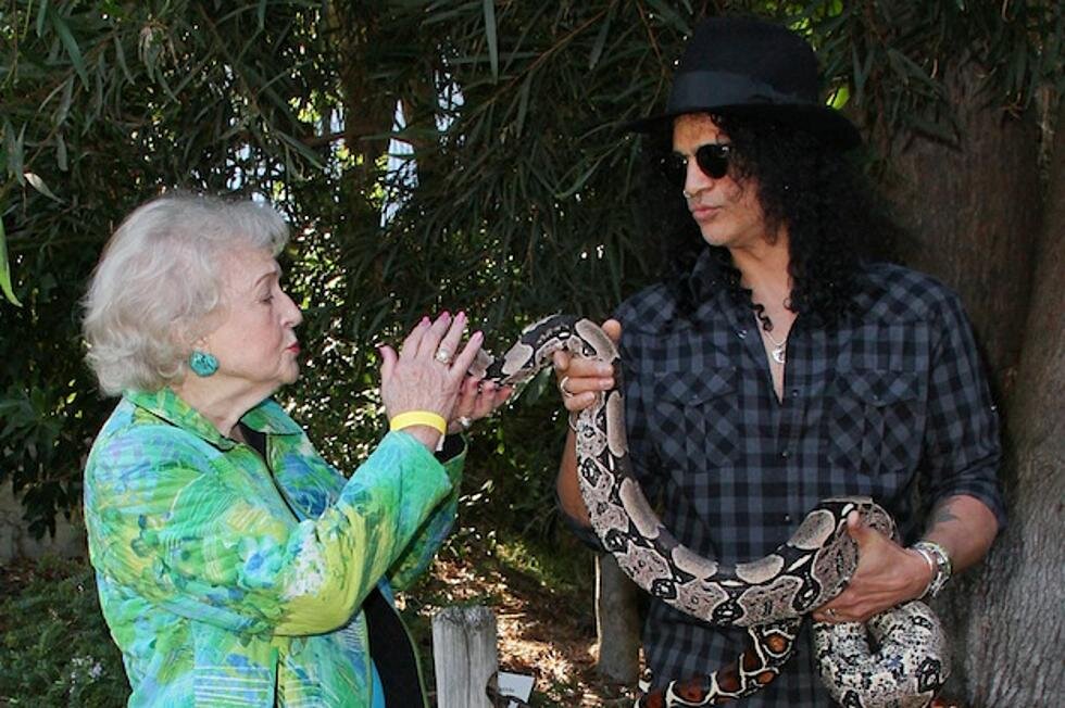 Фото из открытого источника "Яндекс картинки"