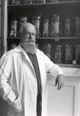 Эйген Штейнах. Никого не напоминает?