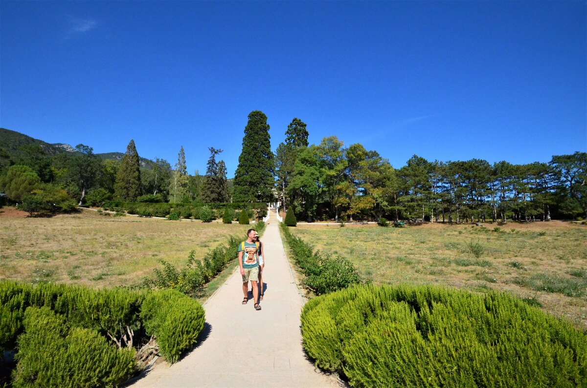 При приближении ко дворцу, вас встречает такая тропа, в конце которой растут две огромные секвойи.