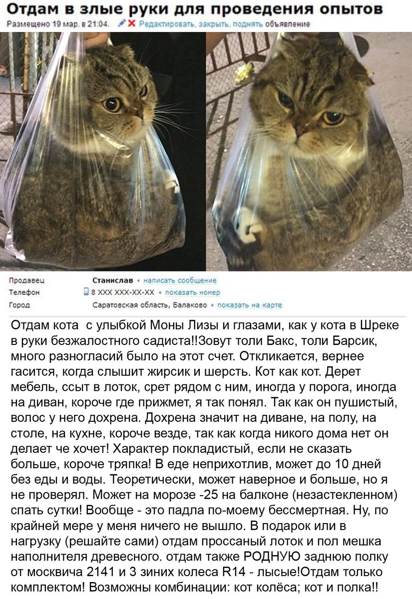 Авито