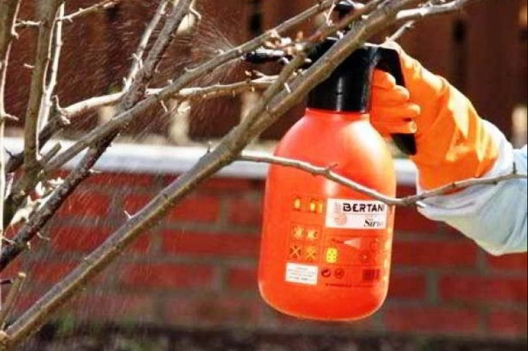 Осень мочевина опрыскивание. Опрыскивание деревьев. Обрезка плодовых деревьев. Опрыскивание медным купоросом. Опрыскивание винограда.