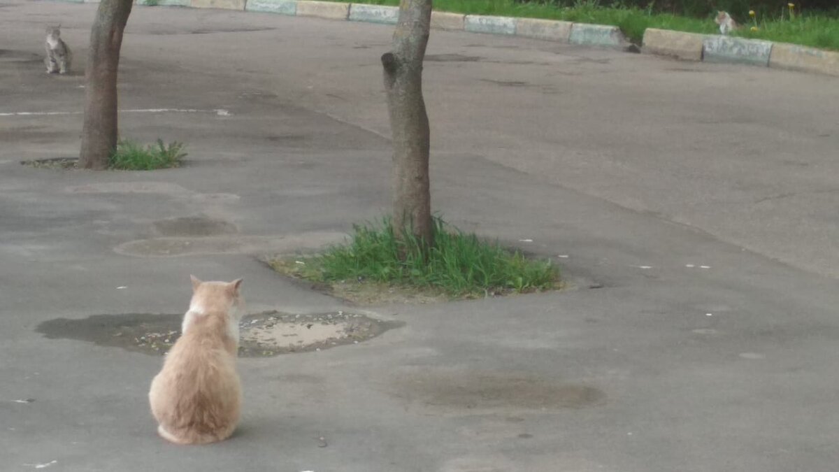 фото из личного архива