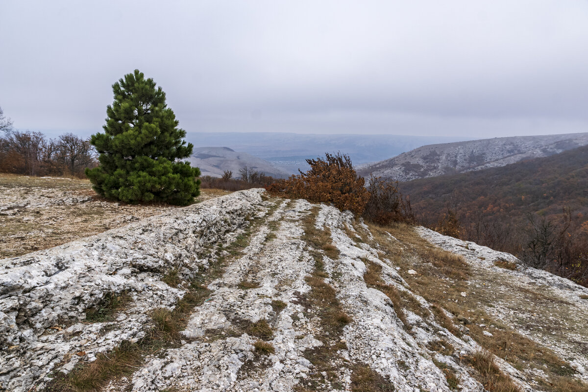 Вид от входа в пещеру Мраморная. Ещё 6 фото.