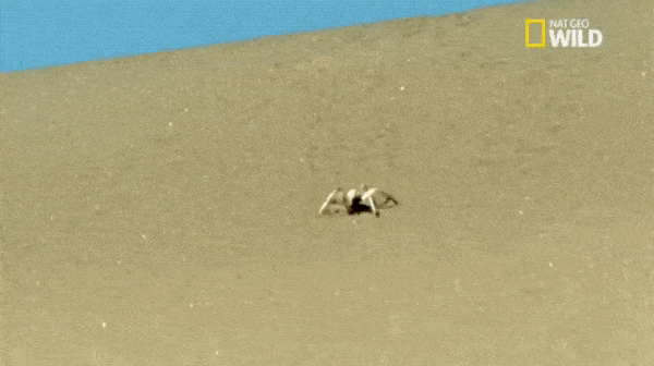 УИИИИИИИ!!!!