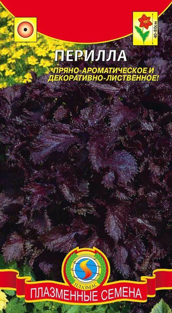 Семена периллы, фото из интернета