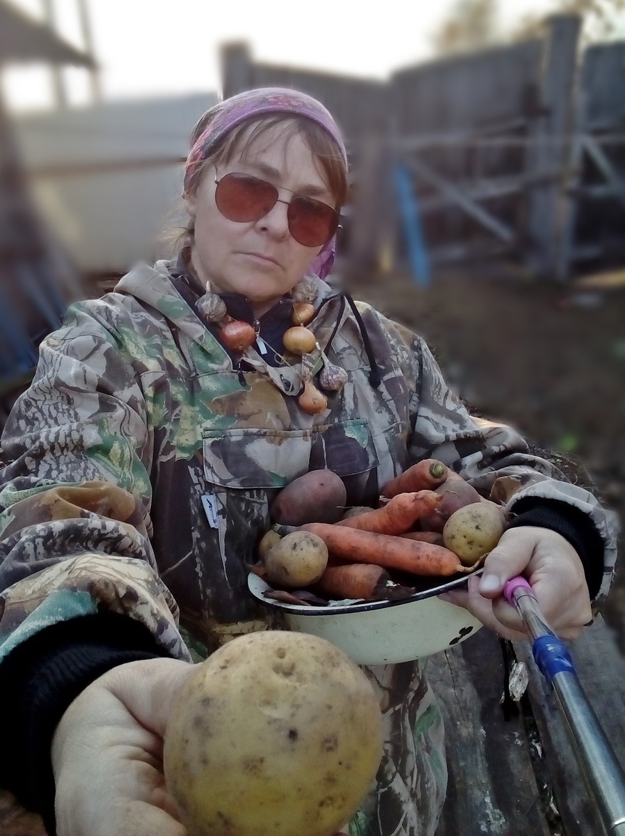 ощущения автора после сбора урожая