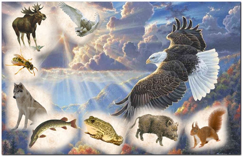 Тотемное животное