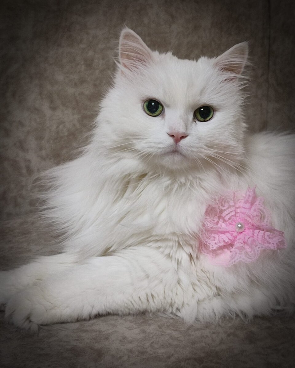 Фото из архивов автора