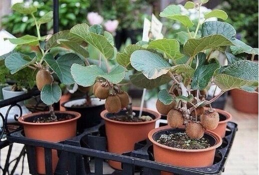 Всё началось с малого ....