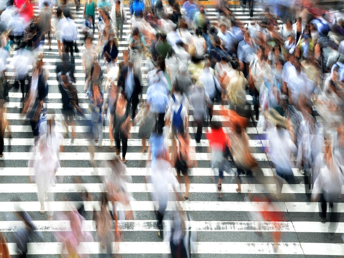 Фото с ресурса pixabay.com