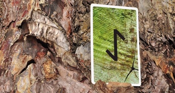 руна Eihwaz (Эйваз), фото из архива автора