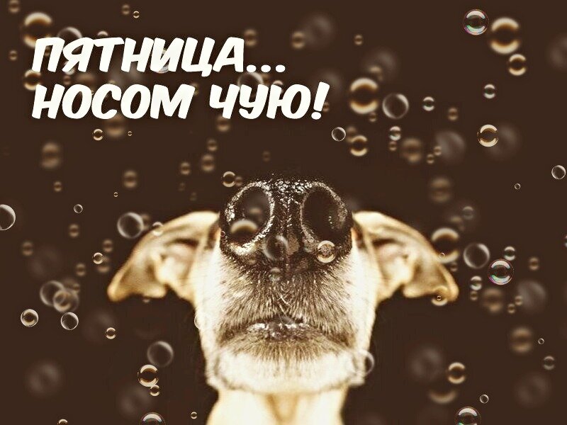 Нечего добавить...