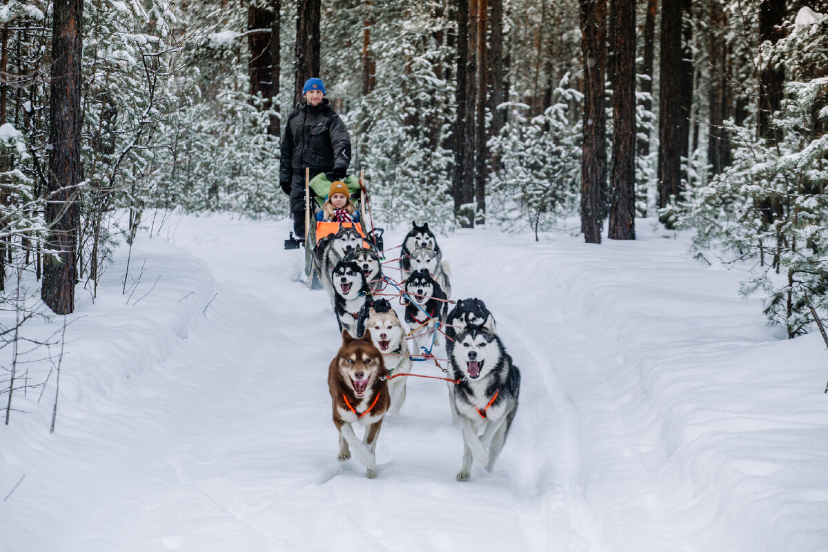 Фото - Валерий Степанюк.