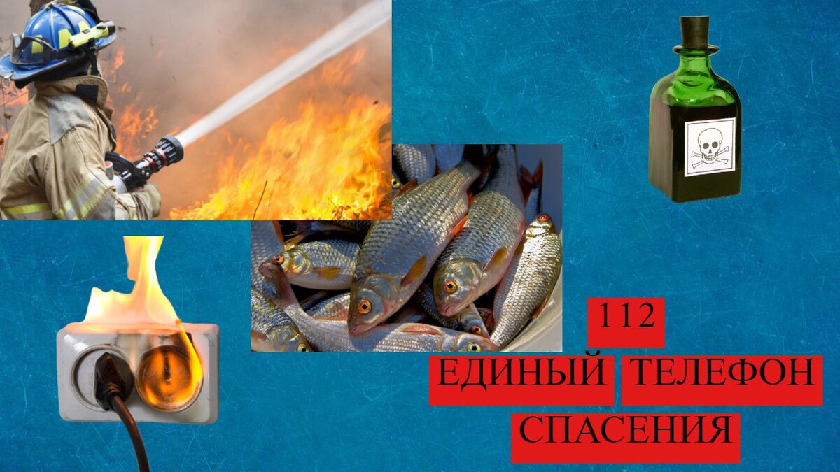 Тушение пожара, рыба, горящая розетка и яд