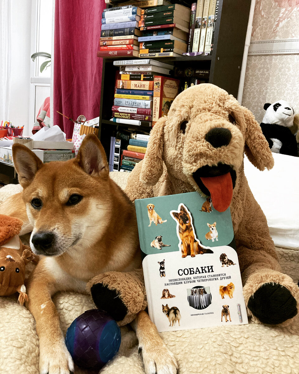 Семейное фото)))