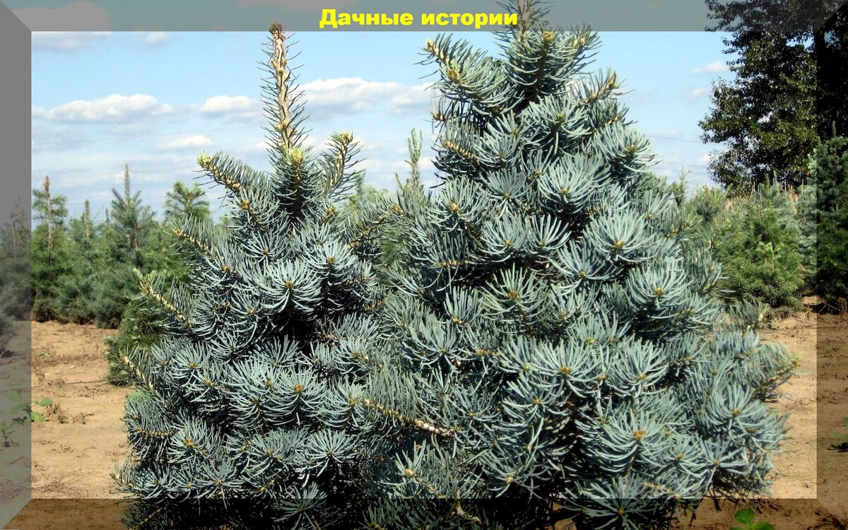 https://vk.com/photo-159774511_457252829