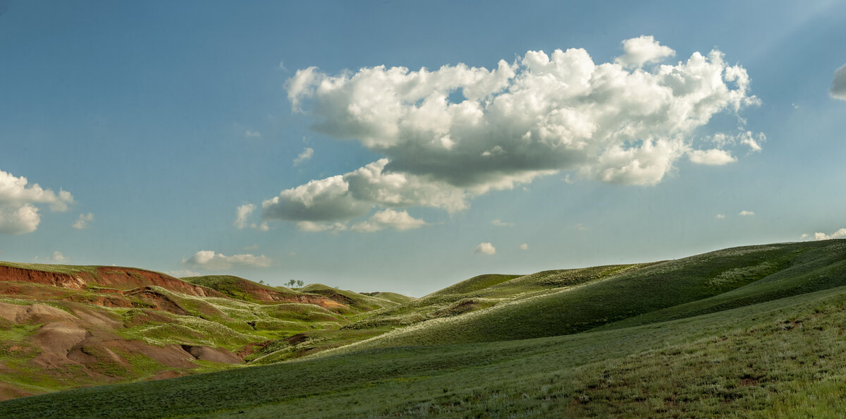 Изображение взято из свободного доступа.