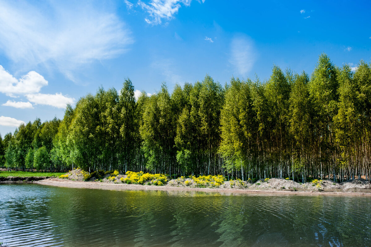 КП Green Forest