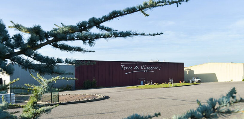 Процитировано с сайта  https://terredevignerons.com 