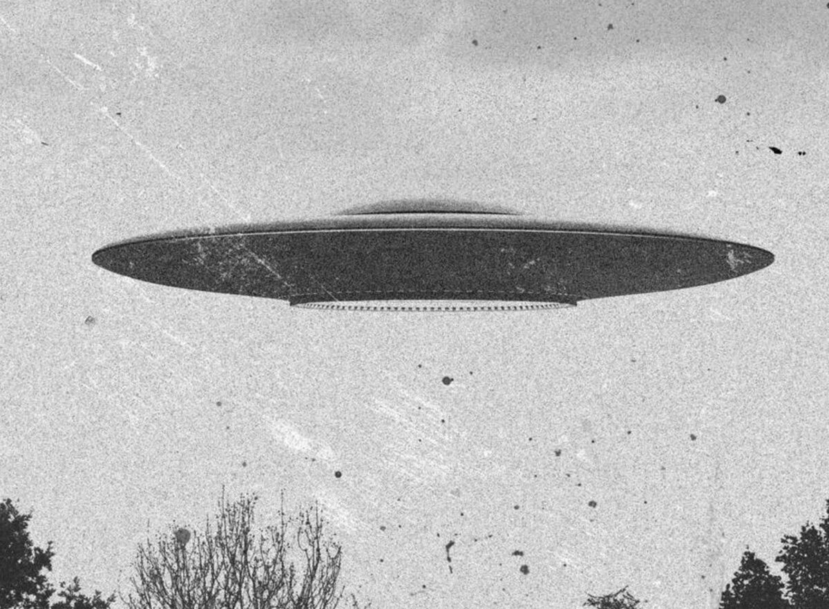 Всего в СССР и России потерпели крушение более 150 НЛО. Похоже, это одно из них.
Источник фото: https://www.riotimesonline.com/wp-content/uploads/2022/07/flying-disc.jpg