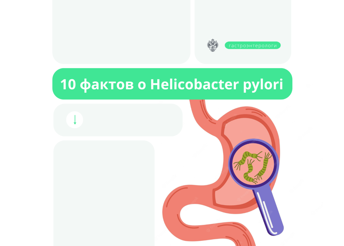 Qué puedo desayunar si tengo helicobacter pylori