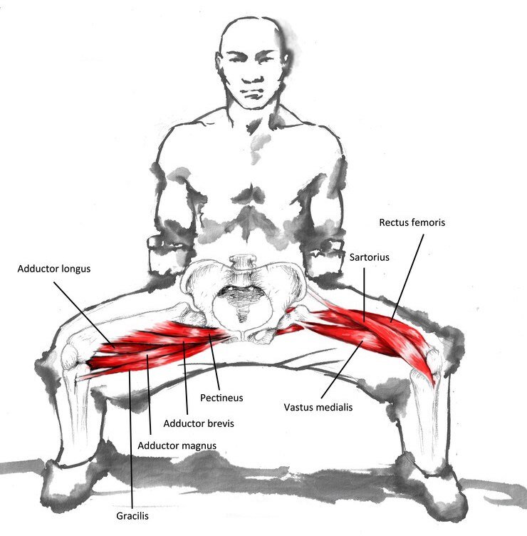 Всадник в разрезе