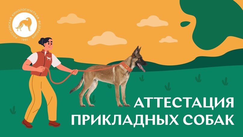 Все об аттестации прикладных собак. Источник: Российская кинологическая федерация