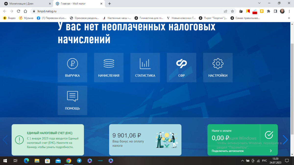 Скриншот со страницы в ЛК НПД