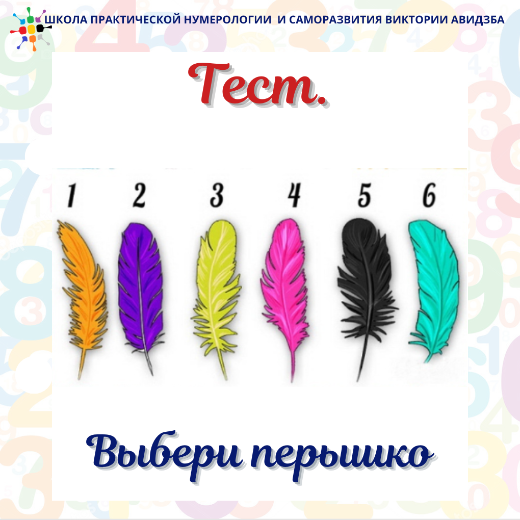Перья птиц. Триптих из павлиньих перьев рисунок. Перья тест на личность. Выбери перо и узнай. Тест перышко.